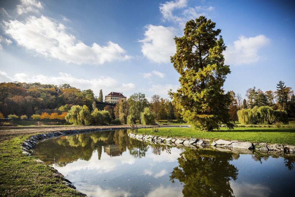 Парк Стромовка в Праге