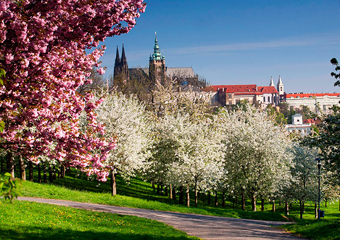весна в Чехии